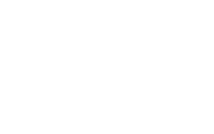 World Services LLC